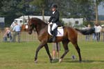 ZVS_5375