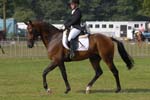 ZVS_5377
