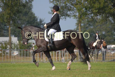 ZVS_5503