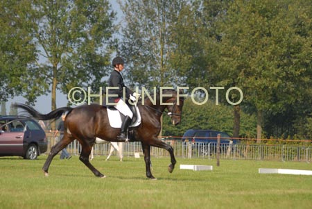 ZVS_5531