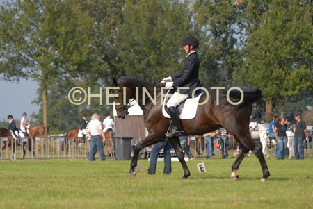 ZVS_5536