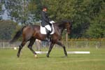 ZVS_5514