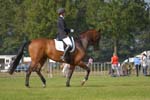ZVS_5522