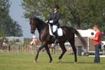 ZVS_5528
