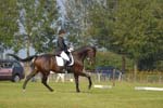 ZVS_5531