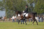ZVS_5536