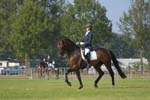ZVS_5554