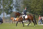 ZVS_5556