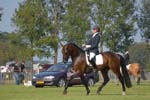 ZVS_5557