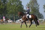 ZVS_5559