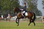 ZVS_5563