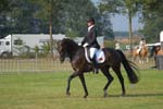 ZVS_5572