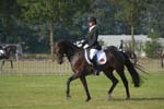 ZVS_5573
