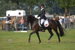 ZVS_5576