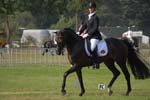 ZVS_5582