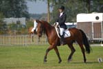 ZVS_5585