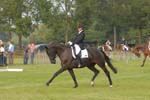 ZVS_5729