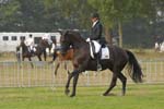 ZVS_5738
