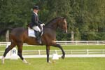 ZVS_5748