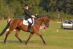 ZVS_5754