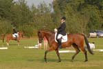 ZVS_5767