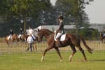 ZVS_5769