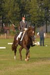 ZVS_5779