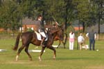 ZVS_5782
