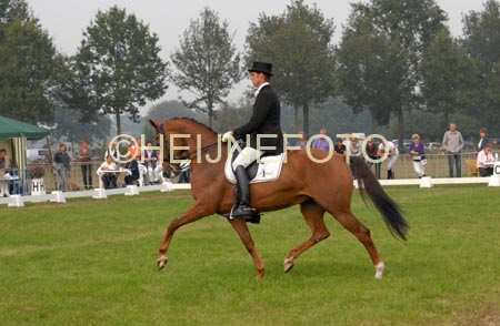 ZVS_7841