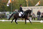 ZVS_7824