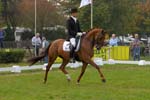 ZVS_7837
