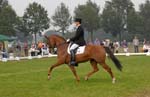 ZVS_7841