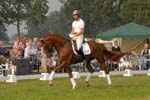 kur kittel en scandic003