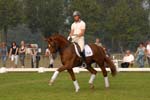kur kittel en scandic004