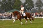 kur kittel en scandic005