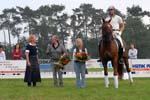 kur kittel en scandic0054a
