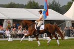 kur kittel en scandic008