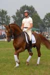 kur kittel en scandic012