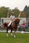 kur kittel en scandic013