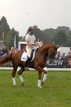 kur kittel en scandic014