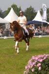 kur kittel en scandic021