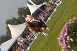 kur kittel en scandic022