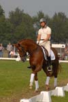 kur kittel en scandic023