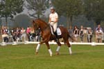 kur kittel en scandic024