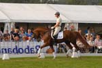 kur kittel en scandic026