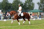 kur kittel en scandic027