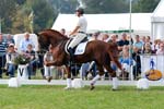 kur kittel en scandic031