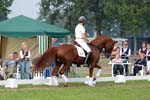 kur kittel en scandic033