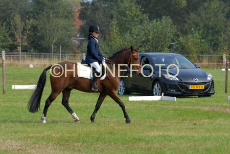 ZVS_7053