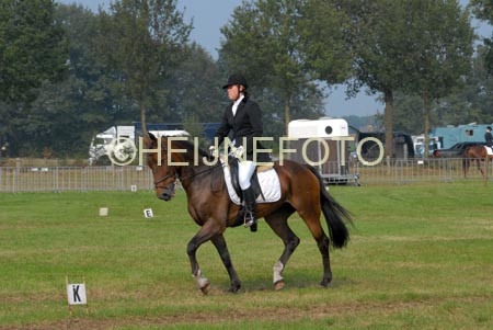 ZVS_7068